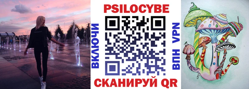 Купить где  Шуя  Галлюциногенные грибы Cubensis 