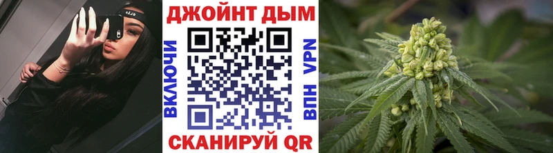 Купить закладки  Шуя  Каннабис семена 